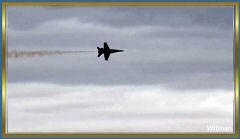 BlueAngel31018 (163).jpg